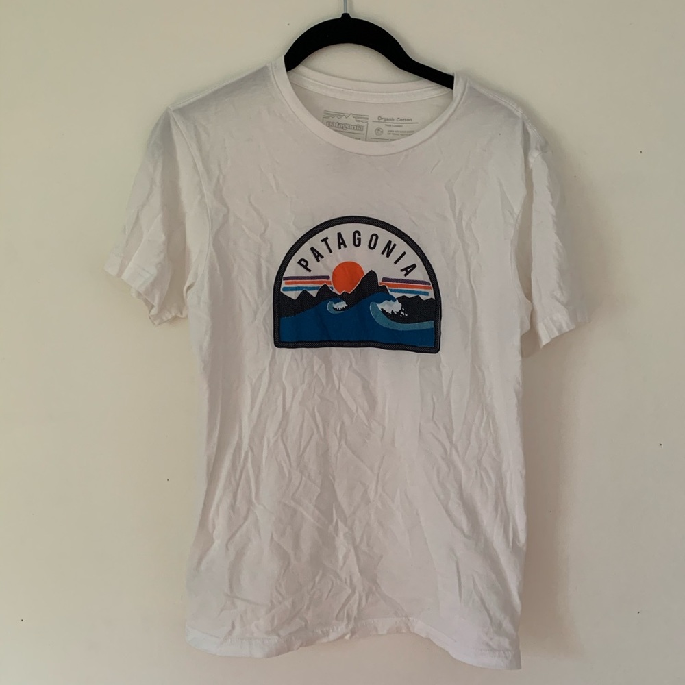 men’s patagonia graphic tee